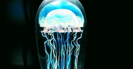 Uma Imagem Arquetípica É Viva, Se Comunica Com Você e Provoca Uma Resposta Física