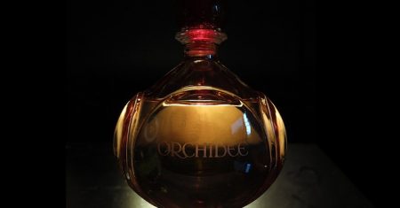Use O Poder Das Fragrâncias Arquetípicas Para Você Conquistar Quem Você Deseja