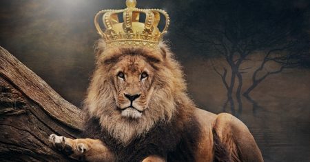 Para Você Acessar a Totalidade De Um Arquétipo, Você Precisa Viver o Arquétipo