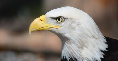 Basta Você Usar Um Símbolo “ERRADO” Para Você Acabar Com Seu Relacionamento Amoroso